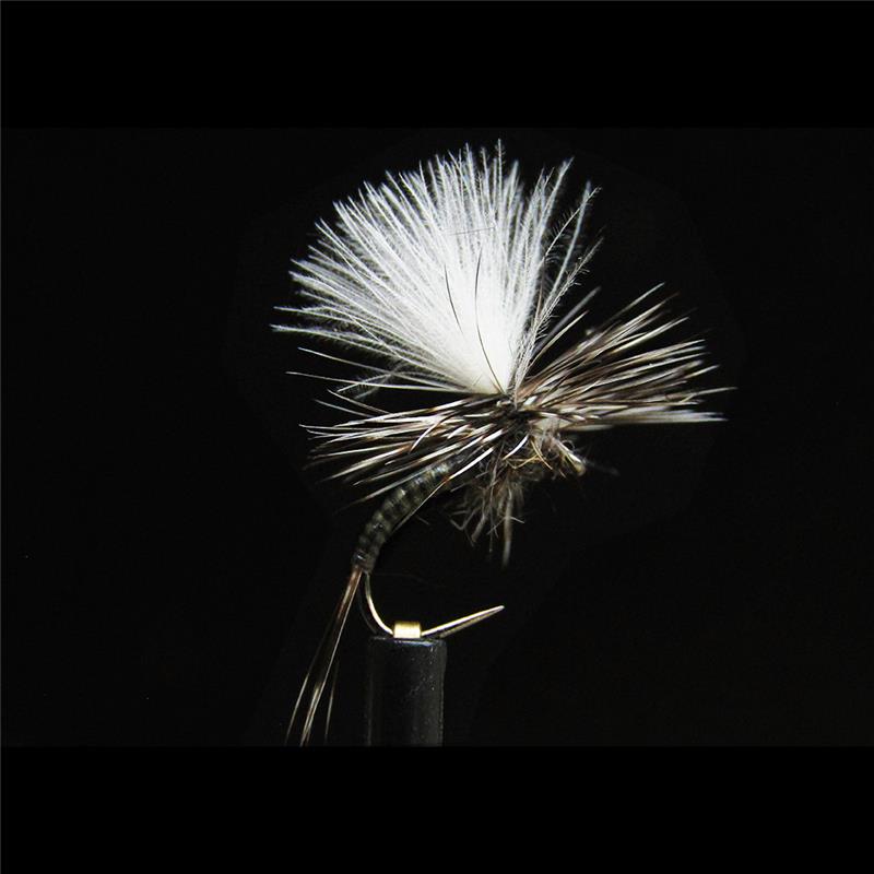 Mouche Jmc Parachutes Para 61 Bl – 1 · N°18