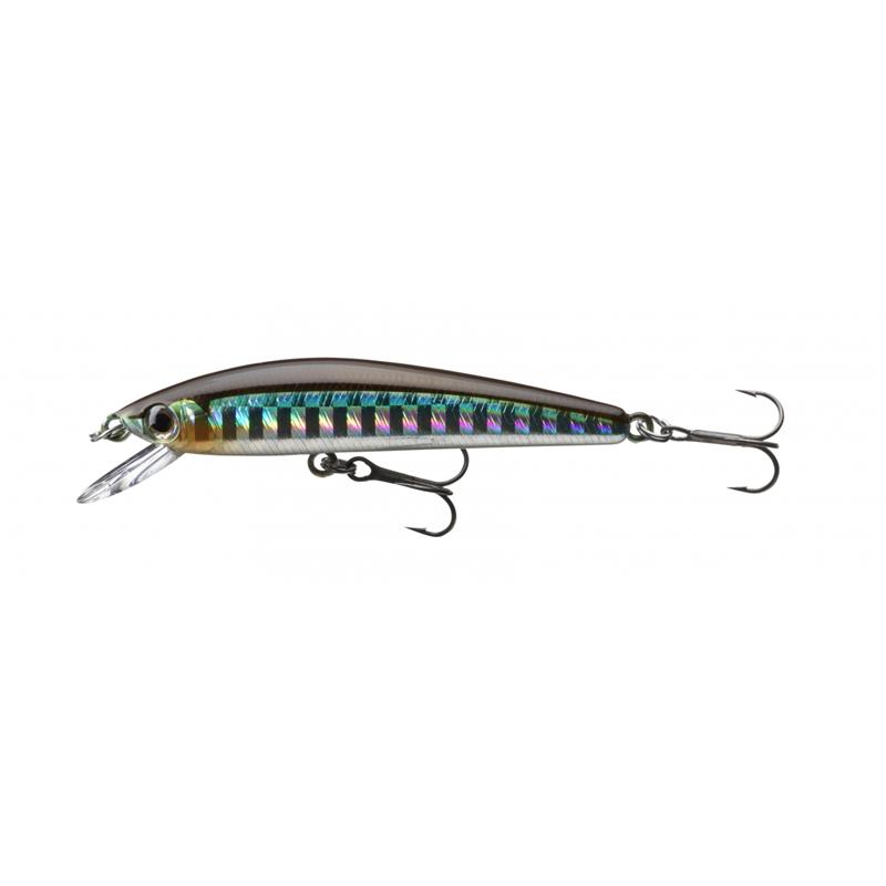 Leurre Suspending Daiwa Tournament Baby Minnow Suspending – 6CM / Kibinago / 1 / 6 / 3.5 / Suspending
