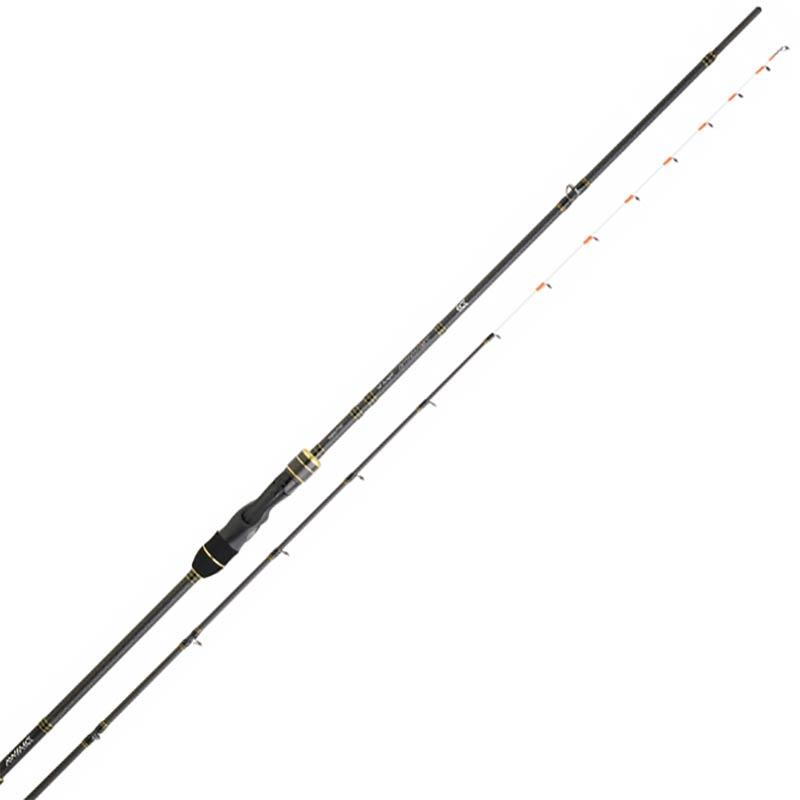 Daiwa Team Daiwa Tenya – Canne Spinning – 2 · 15 · 113 · 50-150 · 220 · 159