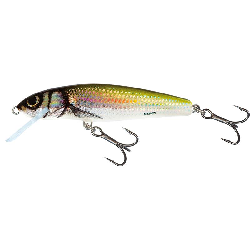 Leurre Flottant Salmo Minnow – 6CM / Holo Bleak / 1 / 6 / Flottant
