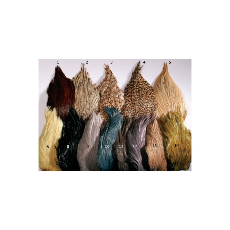 Cou de Coq Indien Jmc – Badger